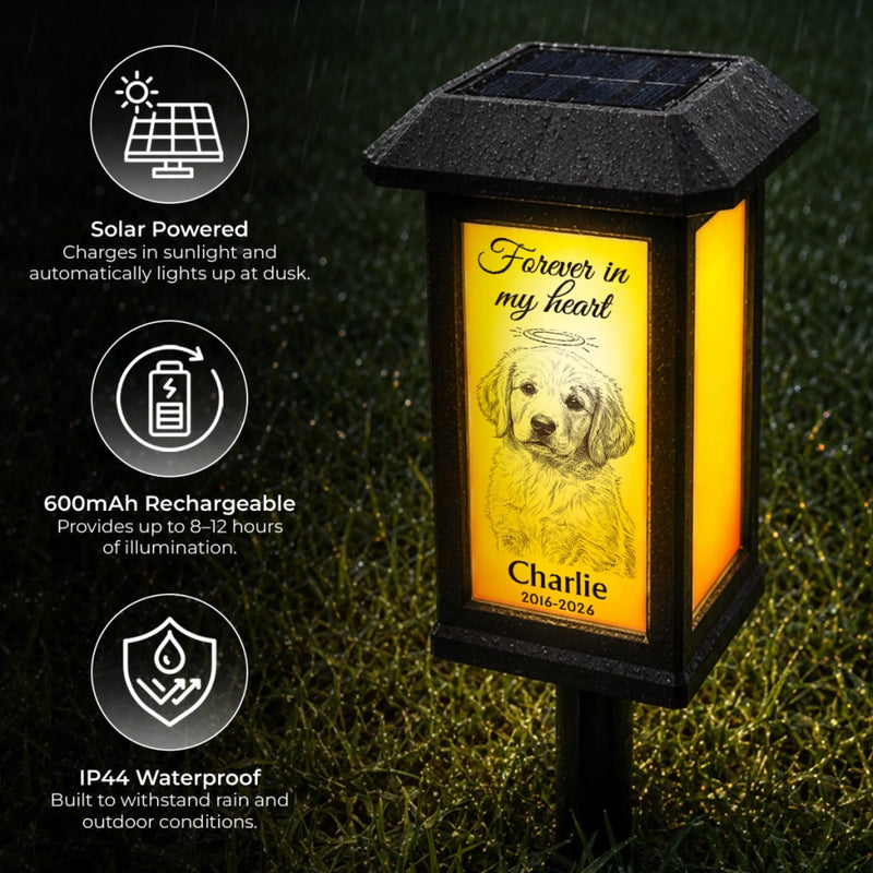 Custom Photo Solar Garden Light - Personalized Pet Memorial Sympathy Gifts For Dogs, Cats - Forever My Best Friend