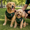 Custom Mexico World Football Pet Jersey - Personalized Birthday Gifts For Football Dog Cat Lovers, Dog Dad And Mom, Cat Owners - Furry Champion