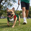 Custom Mexico World Football Pet Jersey - Personalized Birthday Gifts For Football Dog Cat Lovers, Dog Dad And Mom, Cat Owners - Mexico’s Number One Furry Fan