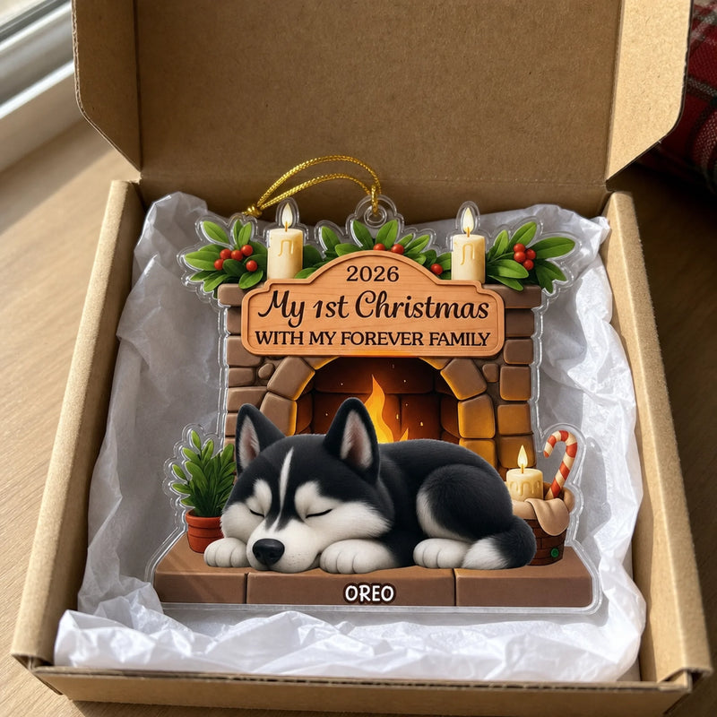 Custom First Christmas Acrylic Ornament - Personalized Christmas Birthday Gifts For Dog Lovers, Dog Dad And Mom - Pawsitively Loved This Christmas