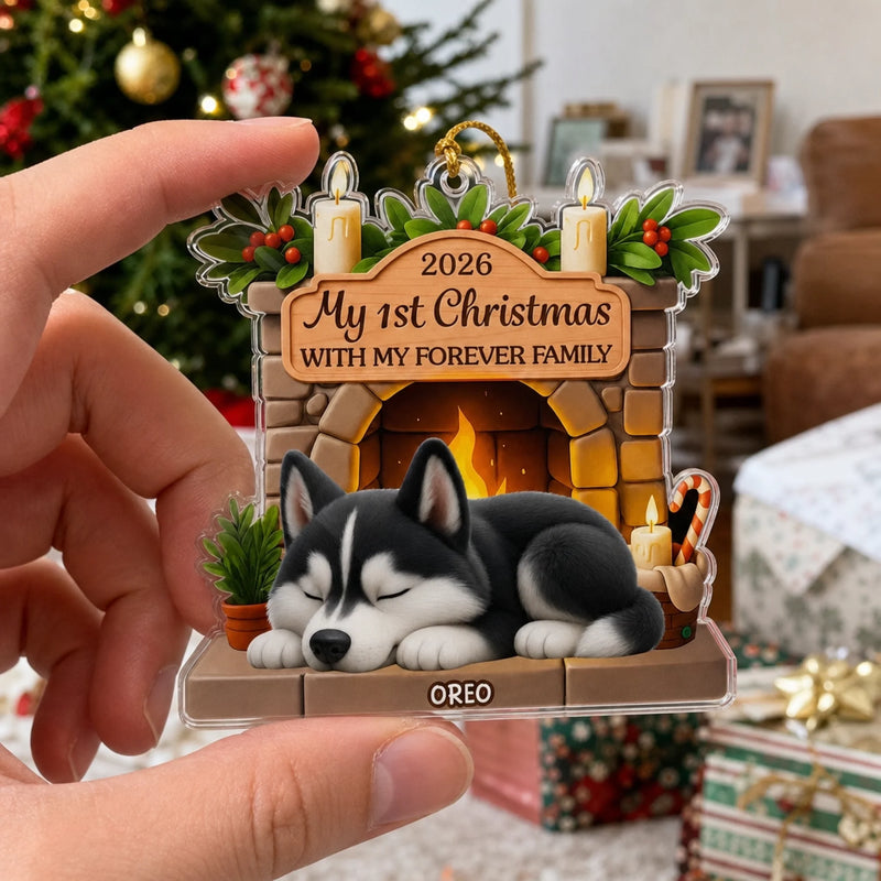 Custom First Christmas Acrylic Ornament - Personalized Christmas Birthday Gifts For Dog Lovers, Dog Dad And Mom - Pawsitively Loved This Christmas