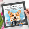 Custom Photo Pet Loss Sign, Collar Frame - Personalized Pet Memorial Sympathy Gifts For Dogs, Cats - Always Loved Never Forgotten