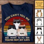 Funny Cat Lover Superhero Gifts - Apparel
