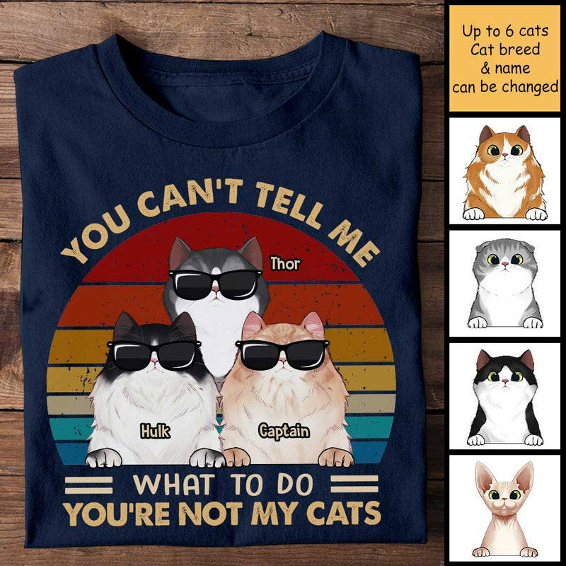 Funny Cat Lover Superhero Gifts - Apparel