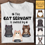 Custom Name Funny Cat Servant Gifts for Cat Lovers - Personalized Apparel