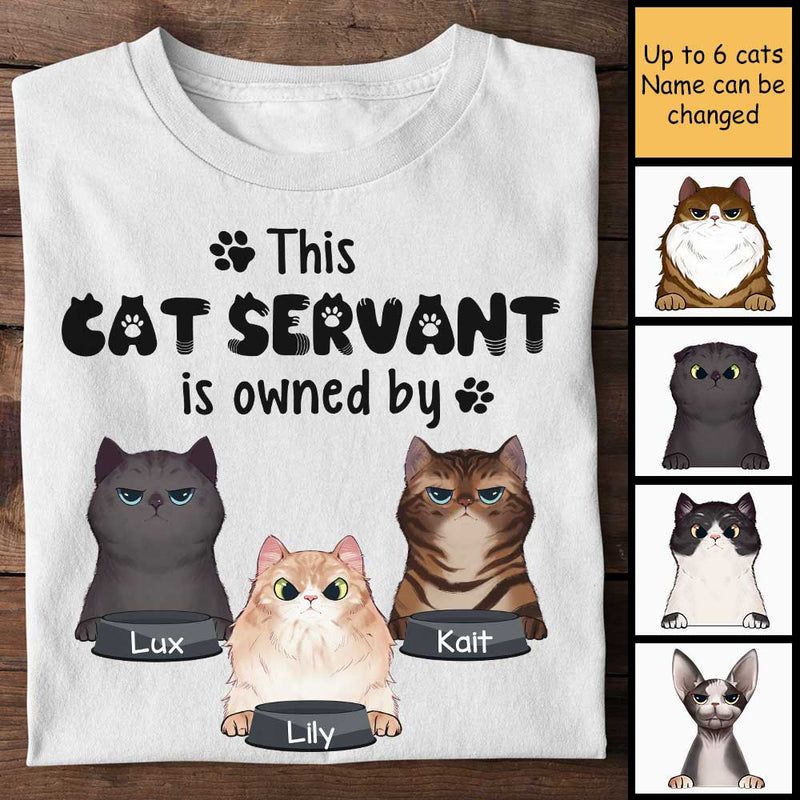Custom Name Funny Cat Servant Gifts for Cat Lovers - Personalized Apparel