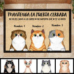 Custom Name Cat Lover Gifts for Cat Owners - Personalized Doormat