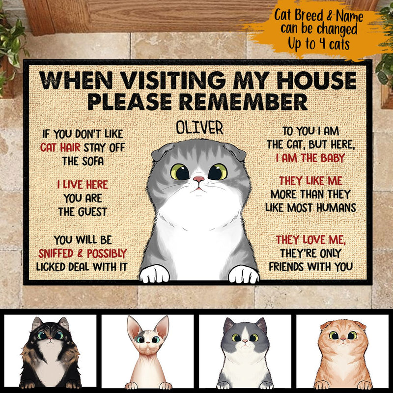 When Visiting My House Please Remember - Funny Personalized Cat Decorative Mat