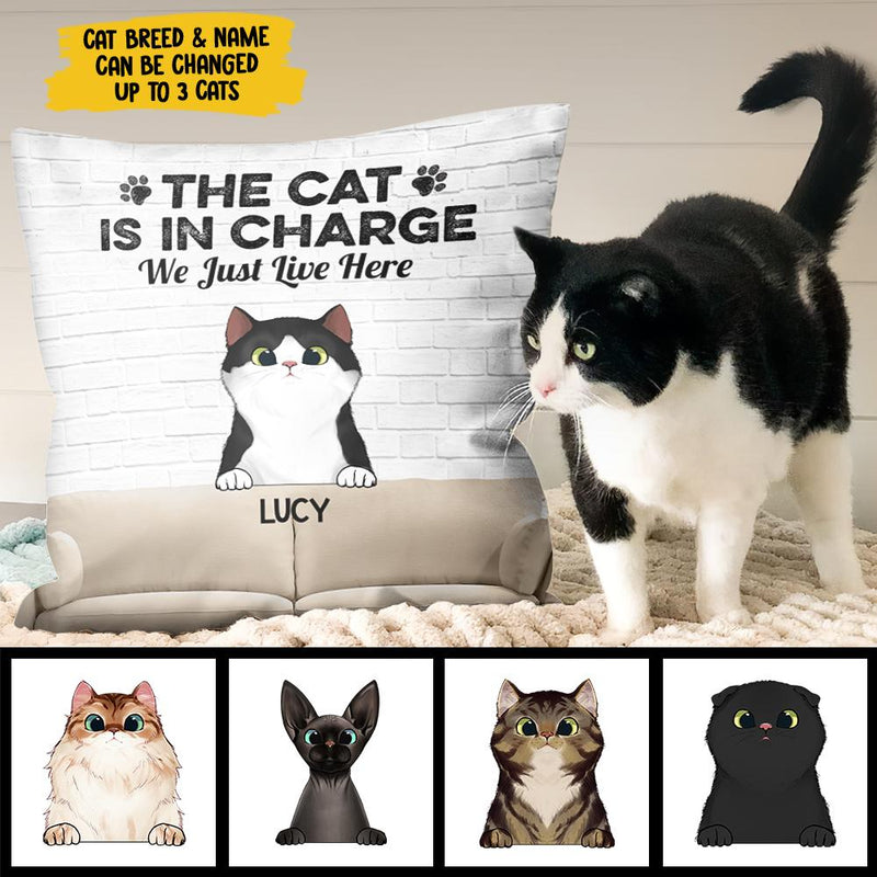 Custom Name Funny Cat Gifts for Cat Lovers - Personalized Pillow
