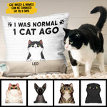 Custom Cat Name Gifts for Cat Lovers - Personalized Pillow