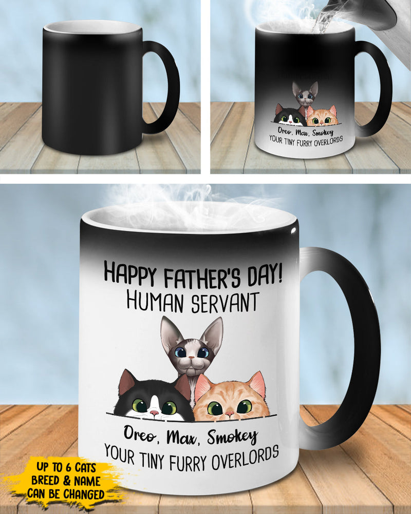Custom Name Cat Dad Father's Day Gifts - Personalized Mugs