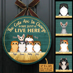Custom Name Cat Family Decor - Personalized Wood Sign