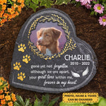 Custom Pet Photo Dog Memorial Gifts - Personalized Memorial Stone