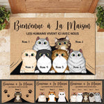 Custom Name Cat Family Welcome Gifts - Personalized Doormat