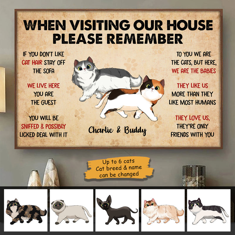 Cat House Rules Home Decor - Poster