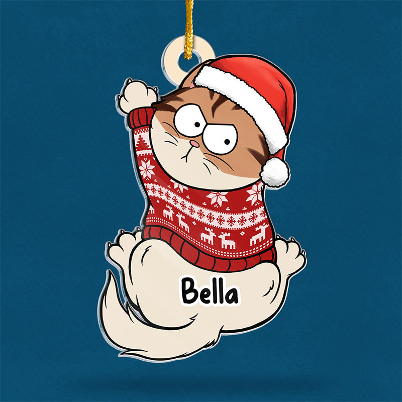 Custom Name Christmas Cat Gifts - Personalized Ornament