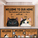 Custom Funny Cat Welcome Home Decor - Personalized Doormat