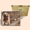 You're Always My Adorable Friends - Memorial Personalized Custom Acrylic Magnetic Photo Frame - Sympathy Gift, Gift For Pet Owners, Pet Lovers