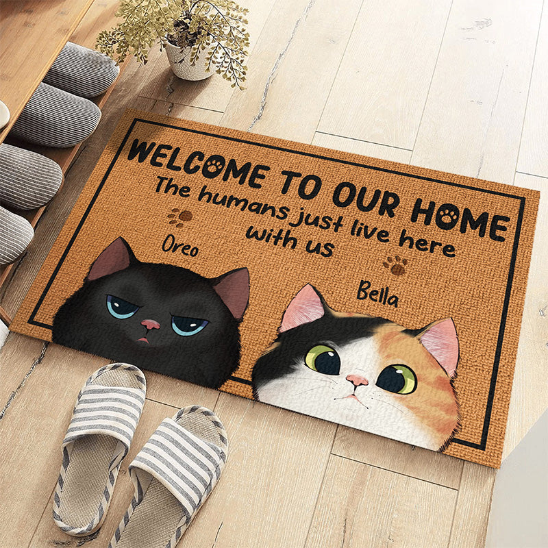 Custom Funny Cat Welcome Home Decor - Personalized Doormat