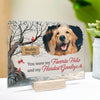 Custom Photo My Hardest Goodbye - Memorial Personalized Custom Rectangle Shaped Acrylic Plaque - Sympathy Gift For Pet Owners, Pet Lovers