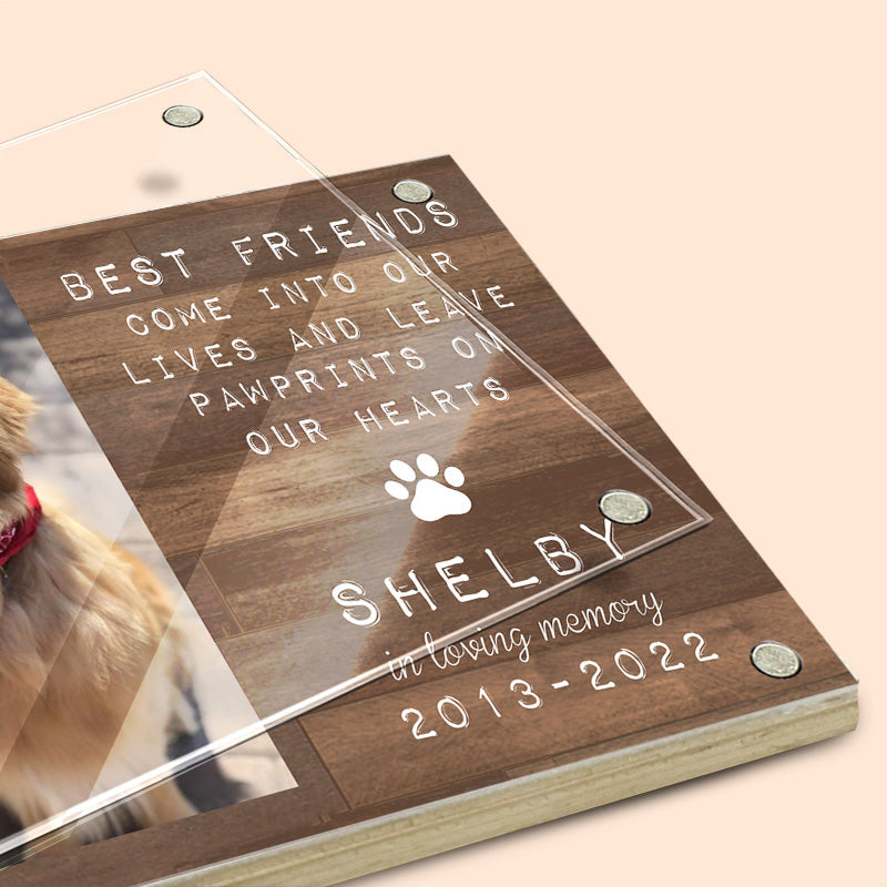 You're Always My Adorable Friends - Memorial Personalized Custom Acrylic Magnetic Photo Frame - Sympathy Gift, Gift For Pet Owners, Pet Lovers