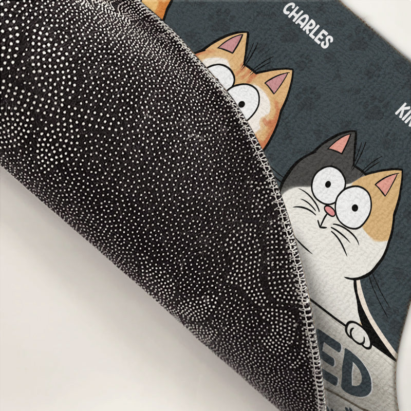 Don't Let The Cats Out No Matter What They Tell You - Cat Personalized Custom Decorative Mat - Gift For Pet Owners, Pet Lovers