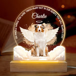 Custom Name Pet Memorial Gifts - Personalized 3D LED Light