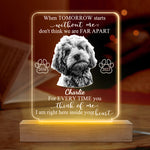 Custom Pet Photo Dog Memorial Keepsake - Personalized 3D LED Light
