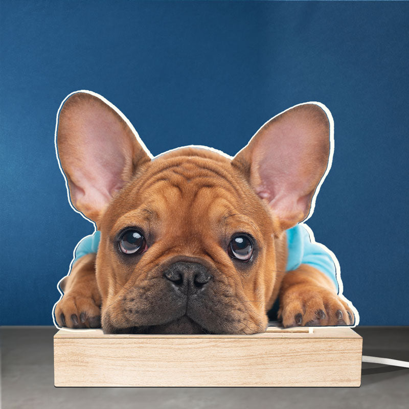 Cute French Bulldog Puppy Decor for Dog Lovers - 3D LED Light