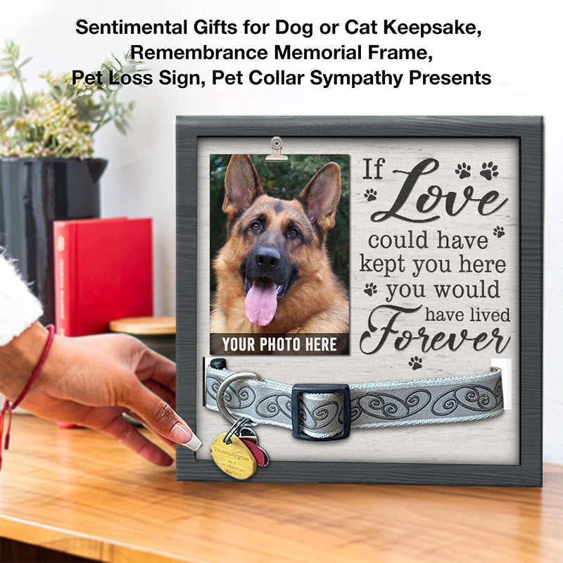 If Love Could Have Kept You Here You Would Have Lived Forever - Memorial Pet Loss Sign, Collar Picture Frame - Sympathy Gift, Gift For Pet Owners, Pet Lovers