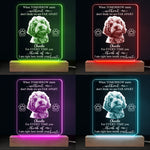Custom Pet Photo Dog Memorial Keepsake - Personalized 3D LED Light