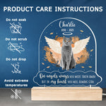 Custom Cat Memorial Gifts for Pet Loss - Personalized 3D LED Light