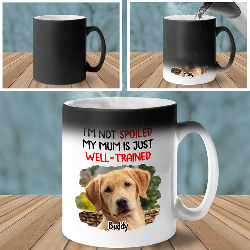 Custom Cat Name Funny Gifts for Cat Moms - Personalized Mugs