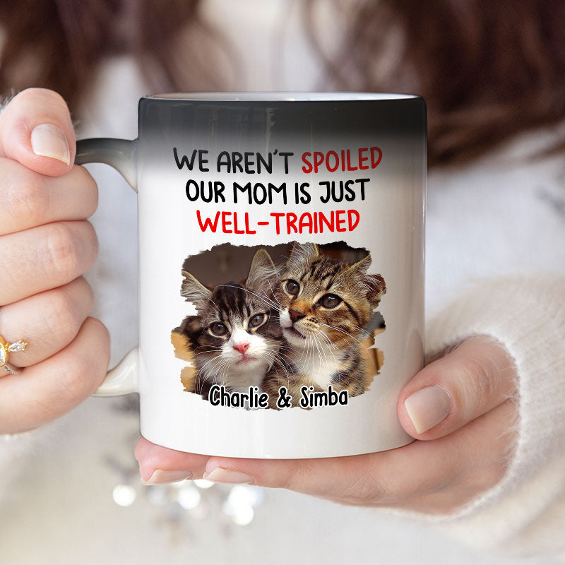 Custom Photo We Aren't Spoiled - Dog & Cat Personalized Custom Color Changing Mug - Gift For Pet Owners, Pet Lovers