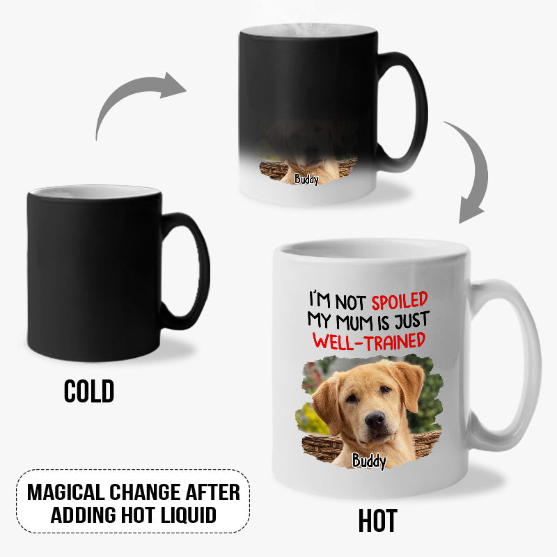Custom Cat Name Funny Gifts for Cat Moms - Personalized Mugs