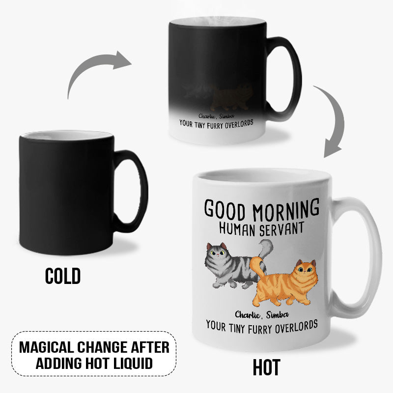 From Your Tiny Furry Overlords - Cat Personalized Custom Color Changing Mug - Gift For Pet Owners, Pet Lovers
