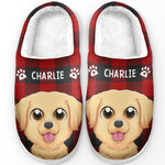 Custom Name Golden Dog Gifts for Pet Lovers - Personalized Fluffy Slipper