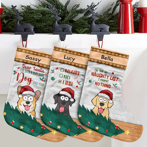 Custom Funny Dog Naughty List Christmas Decor - Personalized Christmas Stocking