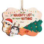 Custom Name Funny Cat Christmas Gifts - Personalized Ornament