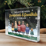 Custom Name Christmas Gifts for Grandparents - Personalized Shaped Acrylic Plaque