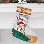 Custom Funny Dog Naughty List Christmas Decor - Personalized Christmas Stocking