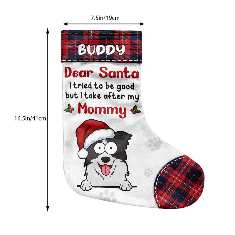 Custom Name Funny Pet Christmas Gifts - Personalized Christmas Stocking