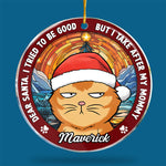 Custom Name Funny Christmas Cat Gifts - Personalized Ornament