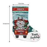 Custom Name Christmas Pet Gifts for Dog and Cat Lovers - Personalized Christmas Stocking