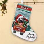 Custom Name Christmas Pet Gifts for Dog and Cat Lovers - Personalized Christmas Stocking