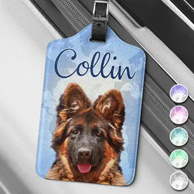 pfh26-petlover-ldp-review04.webp__PID:31f49e61-81ba-49ec-ae6f-3507ac96bec1
