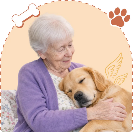 Lost Pet