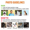 Custom Photo Together We Go - Dog & Cat Personalized Custom Auto Windshield Sunshade, Car Window Protector - Gift For Pet Owners, Pet Lovers