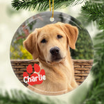 Custom Pet Photo Christmas Gifts for Dog Lovers - Personalized Ceramic Ornament