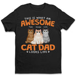Funny Cat Dad Gifts for Men - Cat Dad Apparel